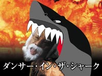 「ダンサー・イン・ザ・シャーク」写真