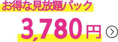 お得な見放題パック 3,780円