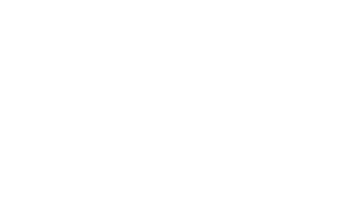 PFF PIA FILM FESTIVAL
