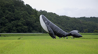 The Name of the Whale